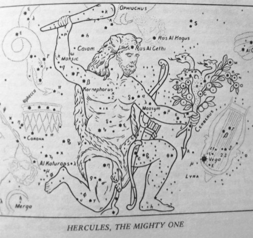 To see this wonderful figure in the night sky is an awesome experience.